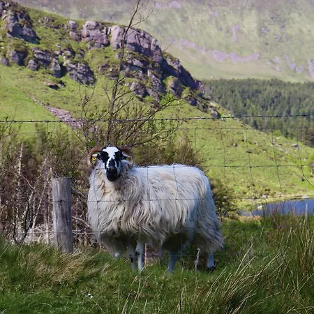 Mount Alohert House Ferienhaus Killarney