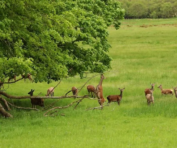 Mount Alohert House Holiday home
