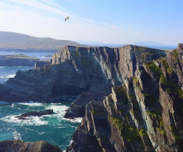 Mount Alohert House Killarney