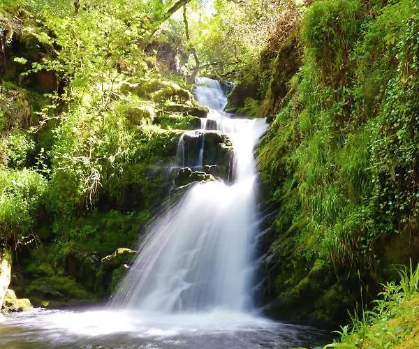 Mount Alohert House Killarney